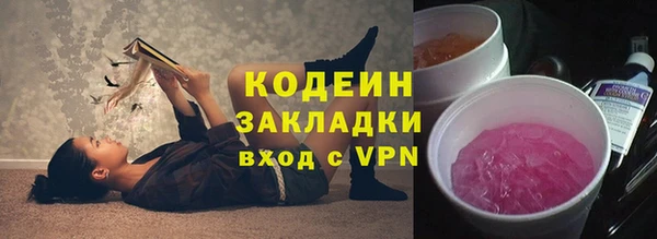 МДПВ Каменка