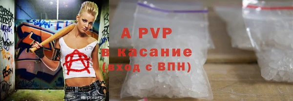 СК Каменногорск