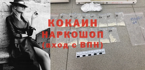 МДПВ Каменка