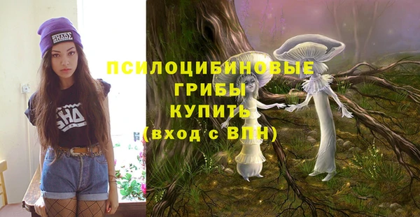 МДПВ Каменка