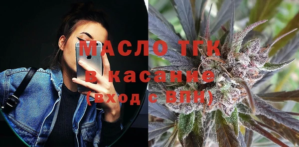 МДПВ Каменка