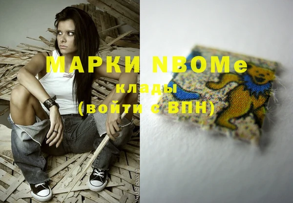 МДПВ Каменка