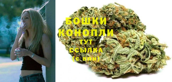 СК Каменногорск