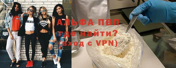 МДПВ Каменка