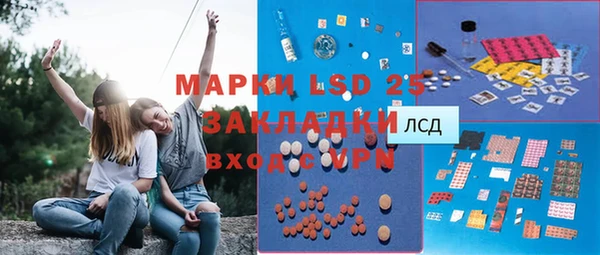 СК Каменногорск