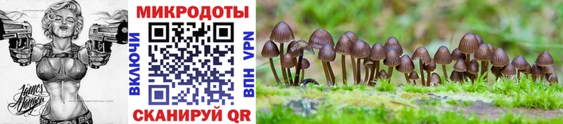 Псилоцибиновые грибы мухоморы  omg зеркало  Ильский 