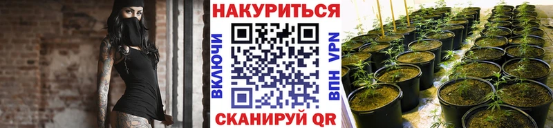 Бошки марихуана индика  сайты даркнета наркотические препараты  Ильский 
